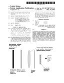 DEVICE AND METHODS FOR EPIGENETIC ANALYSIS diagram and image