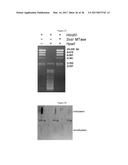 DEVICE AND METHODS FOR EPIGENETIC ANALYSIS diagram and image