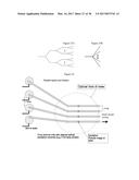 DEVICE AND METHODS FOR EPIGENETIC ANALYSIS diagram and image