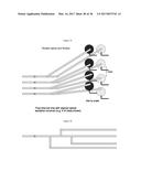 DEVICE AND METHODS FOR EPIGENETIC ANALYSIS diagram and image