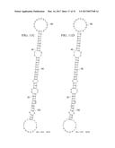 INDIVIDUALIZED CANCER THERAPY diagram and image