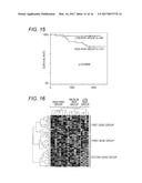 METHOD FOR SUPPORTING DIAGNOSIS OF RISK OF COLORECTAL CANCER RECURRENCE,     TREATMENT OF COLORECTAL CANCER, AND ADMINISTRATION OF ANTICANCER DRUG diagram and image