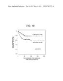 METHOD FOR SUPPORTING DIAGNOSIS OF RISK OF COLORECTAL CANCER RECURRENCE,     TREATMENT OF COLORECTAL CANCER, AND ADMINISTRATION OF ANTICANCER DRUG diagram and image