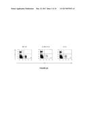 TRANSGENIC MICE HAVING A HUMAN MAJOR HISTOCOMPATIBILITY COMPLEX (MHC)     PHENOTYPE, EXPERIMENTAL USES AND APPLICATIONS diagram and image