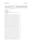 TRANSGENIC MICE HAVING A HUMAN MAJOR HISTOCOMPATIBILITY COMPLEX (MHC)     PHENOTYPE, EXPERIMENTAL USES AND APPLICATIONS diagram and image