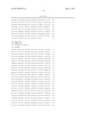 TRANSGENIC MICE HAVING A HUMAN MAJOR HISTOCOMPATIBILITY COMPLEX (MHC)     PHENOTYPE, EXPERIMENTAL USES AND APPLICATIONS diagram and image