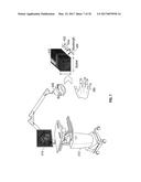 REFLECTIVE MODE MULTI-SPECTRAL TIME-RESOLVED OPTICAL IMAGING METHODS AND     APPARATUSES FOR TISSUE CLASSIFICATION diagram and image