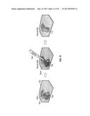 REFLECTIVE MODE MULTI-SPECTRAL TIME-RESOLVED OPTICAL IMAGING METHODS AND     APPARATUSES FOR TISSUE CLASSIFICATION diagram and image