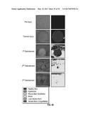 REFLECTIVE MODE MULTI-SPECTRAL TIME-RESOLVED OPTICAL IMAGING METHODS AND     APPARATUSES FOR TISSUE CLASSIFICATION diagram and image