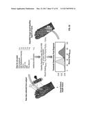 REFLECTIVE MODE MULTI-SPECTRAL TIME-RESOLVED OPTICAL IMAGING METHODS AND     APPARATUSES FOR TISSUE CLASSIFICATION diagram and image