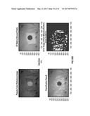 REFLECTIVE MODE MULTI-SPECTRAL TIME-RESOLVED OPTICAL IMAGING METHODS AND     APPARATUSES FOR TISSUE CLASSIFICATION diagram and image