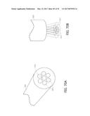 REFLECTIVE MODE MULTI-SPECTRAL TIME-RESOLVED OPTICAL IMAGING METHODS AND     APPARATUSES FOR TISSUE CLASSIFICATION diagram and image