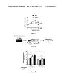 TETRAHYDROQUINOLINE DERIVATIVES AND THEIR USE AS EPAC1 INHIBITORS FOR THE     TREATMENT OF MYOCARDIAL INFARCTION INJURY diagram and image