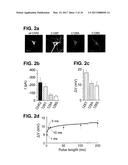OPTICALLY-BASED STIMULATION OF TARGET CELLS AND MODIFICATIONS THERETO diagram and image