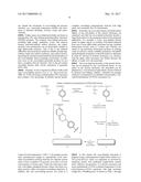 POLYOLEFIN INTERPENETRATED NETWORK MATERIAL FOR HYDROCARBON RECOVERY diagram and image