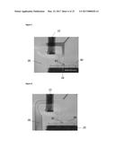 ASSAY DEVICE AND READER diagram and image