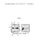 SYSTEMS AND METHODS FOR PARTICLE FOCUSING IN MICROCHANNELS diagram and image