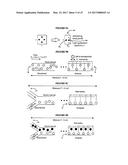 SYSTEMS AND METHODS FOR PARTICLE FOCUSING IN MICROCHANNELS diagram and image