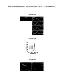 SYSTEMS AND METHODS FOR PARTICLE FOCUSING IN MICROCHANNELS diagram and image