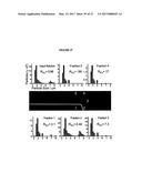 SYSTEMS AND METHODS FOR PARTICLE FOCUSING IN MICROCHANNELS diagram and image