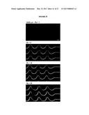 SYSTEMS AND METHODS FOR PARTICLE FOCUSING IN MICROCHANNELS diagram and image