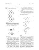 PROCESSES FOR THE PREPARATION OF RUTHENIUM OR OSMIUM COMPLEXES COMPRISING     P AND N DONOR LIGANDS diagram and image