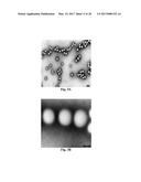 PT (IV) DERIVATIVES AND NANOCARRIERS COMPRISING THEM diagram and image