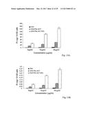 PT (IV) DERIVATIVES AND NANOCARRIERS COMPRISING THEM diagram and image