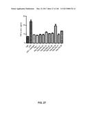 Anti-Inflammatory Peptides and Composition Comprising the Same diagram and image