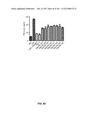Anti-Inflammatory Peptides and Composition Comprising the Same diagram and image