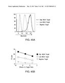 MESOTHELIN-TARGETED CHIMERIC ANTIGEN RECEPTORS AND USES THEREOF diagram and image