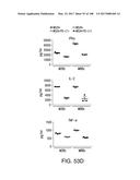 MESOTHELIN-TARGETED CHIMERIC ANTIGEN RECEPTORS AND USES THEREOF diagram and image