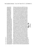 ANTI-C-MET TANDEM FC BISPECIFIC ANTIBODIES diagram and image