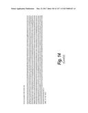 ANTI-C-MET TANDEM FC BISPECIFIC ANTIBODIES diagram and image