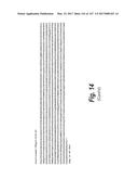 ANTI-C-MET TANDEM FC BISPECIFIC ANTIBODIES diagram and image