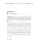 ANTI-C-MET TANDEM FC BISPECIFIC ANTIBODIES diagram and image