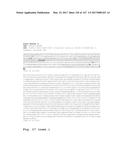 ANTI-C-MET TANDEM FC BISPECIFIC ANTIBODIES diagram and image