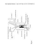 ANTI-C-MET TANDEM FC BISPECIFIC ANTIBODIES diagram and image