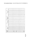 ANTI-C-MET TANDEM FC BISPECIFIC ANTIBODIES diagram and image