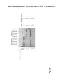 ANTI-C-MET TANDEM FC BISPECIFIC ANTIBODIES diagram and image