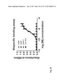 ANTI-C-MET TANDEM FC BISPECIFIC ANTIBODIES diagram and image