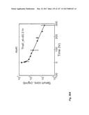 ANTI-C-MET TANDEM FC BISPECIFIC ANTIBODIES diagram and image