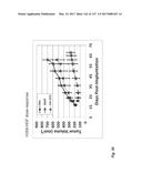 ANTI-C-MET TANDEM FC BISPECIFIC ANTIBODIES diagram and image