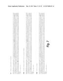 ANTI-C-MET TANDEM FC BISPECIFIC ANTIBODIES diagram and image