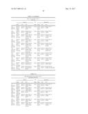 ANTI-C-MET TANDEM FC BISPECIFIC ANTIBODIES diagram and image