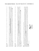 ANTI-C-MET TANDEM FC BISPECIFIC ANTIBODIES diagram and image