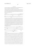 ANTI-C-MET TANDEM FC BISPECIFIC ANTIBODIES diagram and image