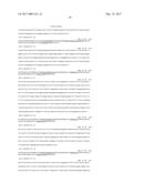 ANTI-C-MET TANDEM FC BISPECIFIC ANTIBODIES diagram and image