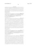 ANTI-C-MET TANDEM FC BISPECIFIC ANTIBODIES diagram and image