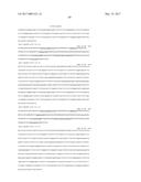 ANTI-C-MET TANDEM FC BISPECIFIC ANTIBODIES diagram and image